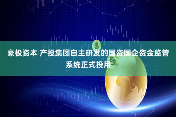 豪极资本 产投集团自主研发的国资国企资金监管系统正式投用