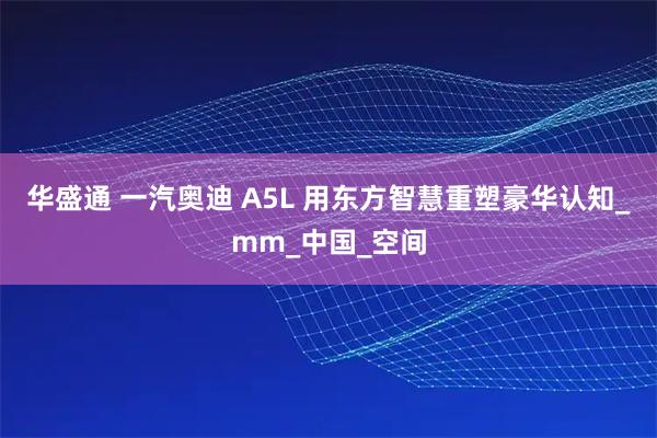 华盛通 一汽奥迪 A5L 用东方智慧重塑豪华认知_mm_中国_空间