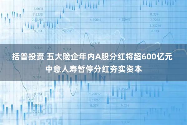 括普投资 五大险企年内A股分红将超600亿元 中意人寿暂停分红夯实资本
