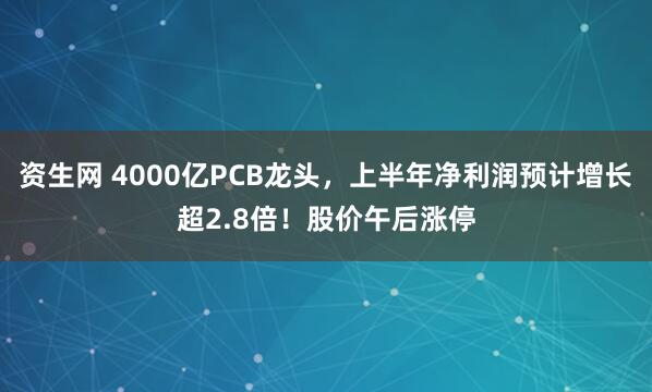 资生网 4000亿PCB龙头，上半年净利润预计增长超2.8倍！股价午后涨停
